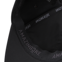 Smog Standard Cap